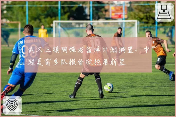 武汉三镇陶强龙留洋计划搁置，中超夏窗多队报价欲挖角新星