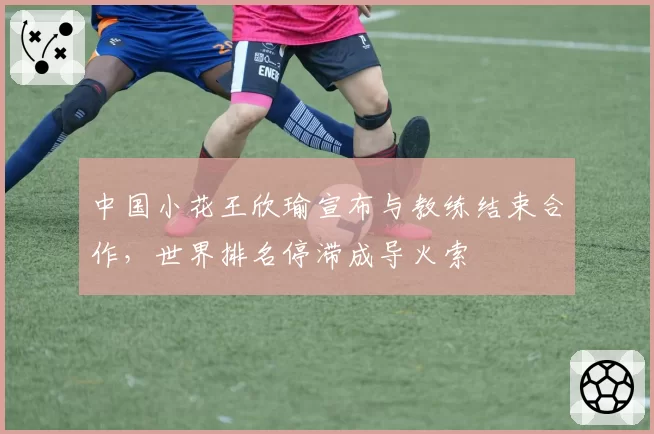 中国小花王欣瑜宣布与教练结束合作,世界排名停滞成导火索