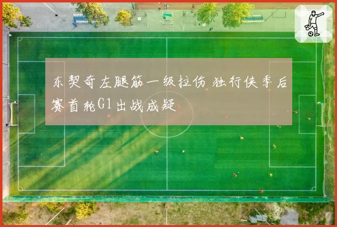 东契奇左腿筋一级拉伤 独行侠季后赛首轮G1出战成疑