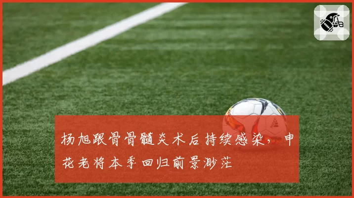 杨旭跟骨骨髓炎术后持续感染,申花老将本季回归前景渺茫