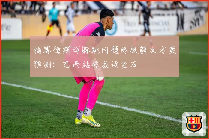 梅赛德斯海豚跳问题终极解决方案预测：巴西站将成试金石